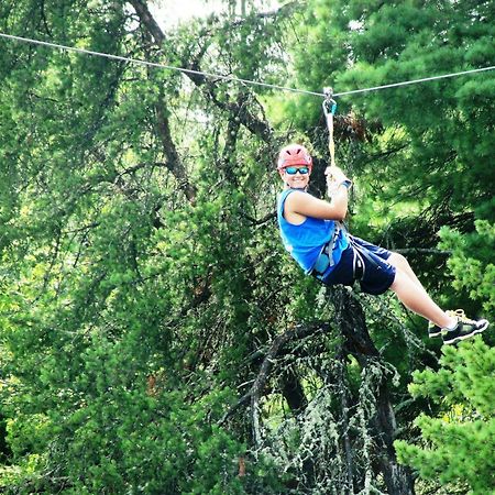 Crane Lake Pine Point Lodge Resort & Motel المظهر الخارجي الصورة